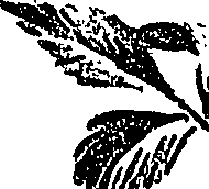 099/099310010601040_0.png