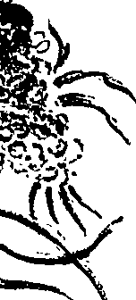 099/099310010601040_2.png