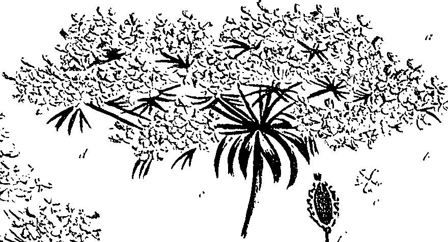 099/099310010601050_0.png