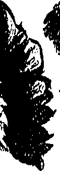 099/099310010601060_0.png