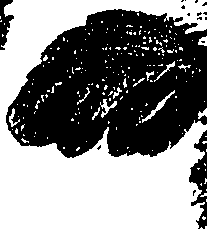 099/099310010601060_1.png