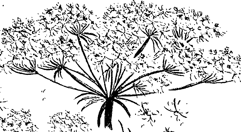099/099310010601060_3.png