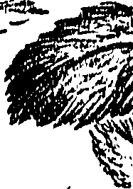 099/099310010601070_0.png