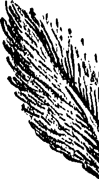 099/099310010601070_1.png
