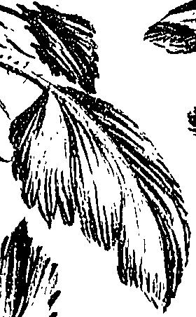 099/099310010601070_2.png