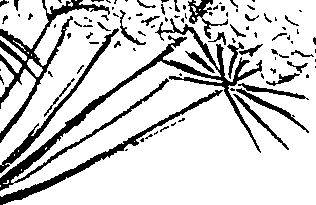 099/099310010601070_4.png