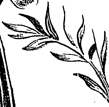 099/099310010601090_0.png