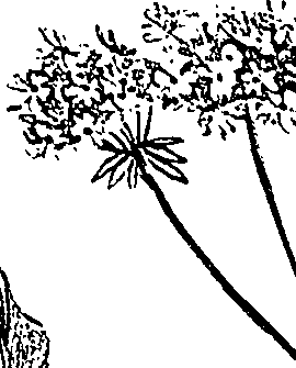 099/099310010601090_1.png