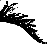 099/099310010601100_0.png