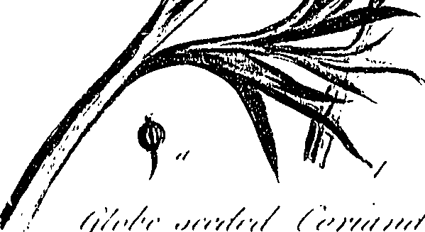 099/099310010601100_1.png