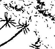 099/099310010601100_2.png
