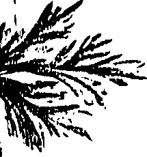 099/099310010601110_1.png