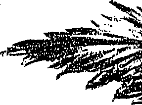 099/099310010601110_2.png
