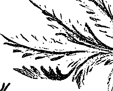 099/099310010601110_3.png
