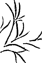 099/099310010601130_0.png