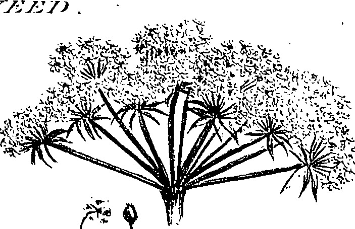 099/099310010601180_0.png