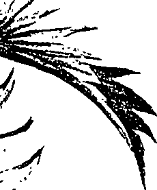 099/099310010601200_0.png