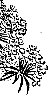 099/099310010601200_1.png