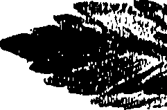 099/099310010601230_0.png