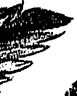 099/099310010601230_1.png