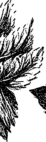 099/099310010601230_2.png