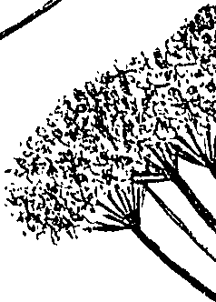 099/099310010601230_3.png