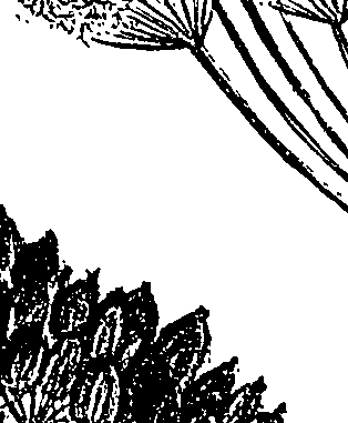 099/099310010601230_4.png