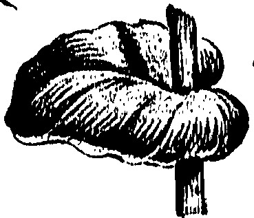 099/099310010601240_0.png