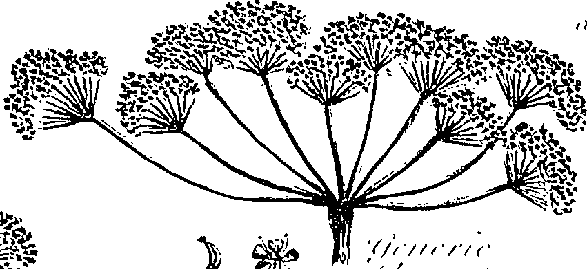 099/099310010601240_1.png