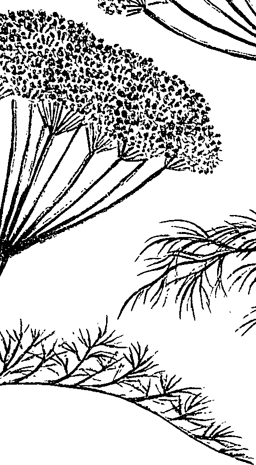 099/099310010601260_1.png