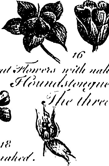 099/099310010700670_1.png