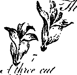 099/099310010700670_2.png