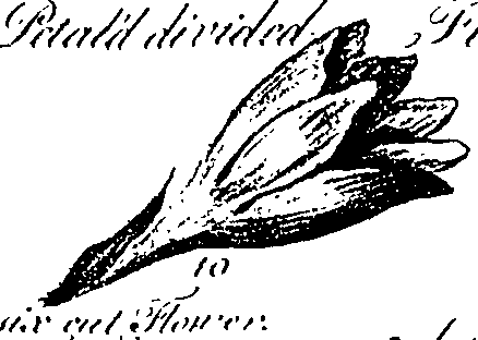 099/099310010700670_3.png