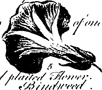 099/099310010700670_4.png