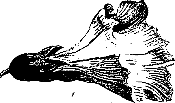 099/099310010700670_5.png
