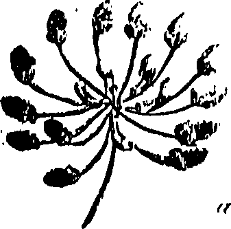 099/099310010700680_0.png