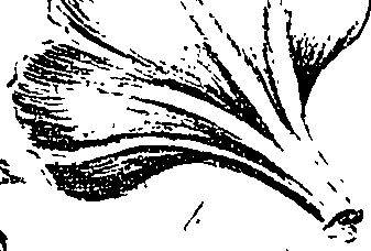 099/099310010700690_1.png