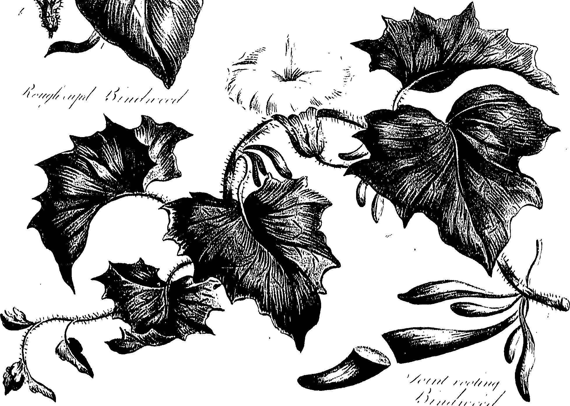 099/099310010700700_0.png