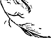 099/099310010700710_1.png