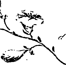 099/099310010700720_1.png