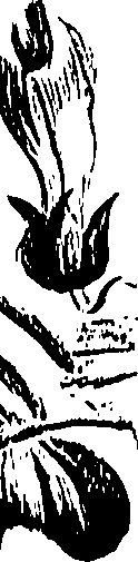 099/099310010700740_0.png