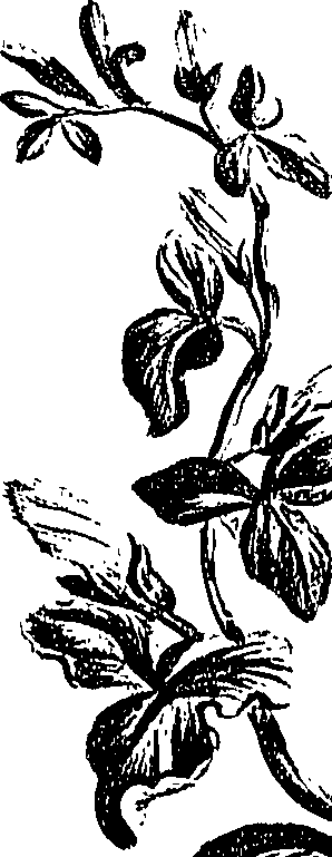 099/099310010700740_1.png