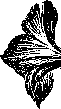 099/099310010700740_2.png