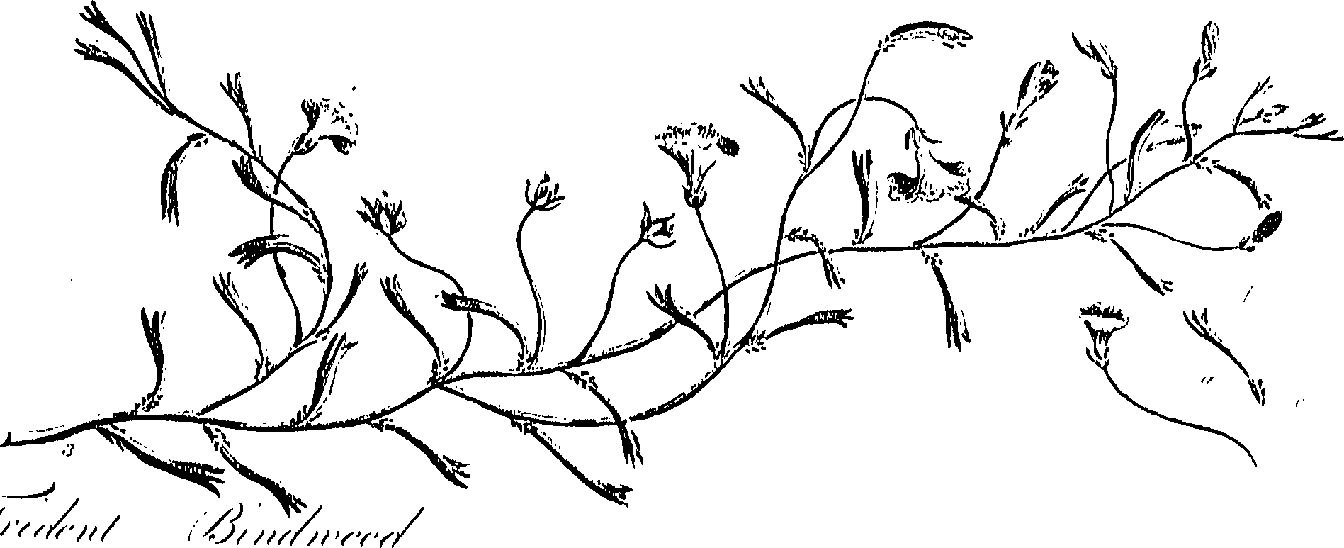 099/099310010700750_0.png