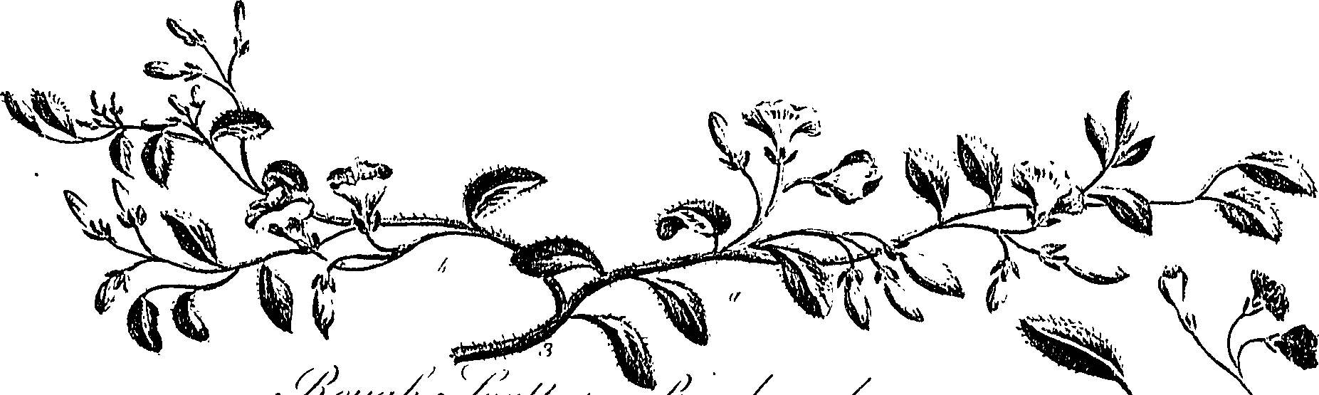099/099310010700750_1.png