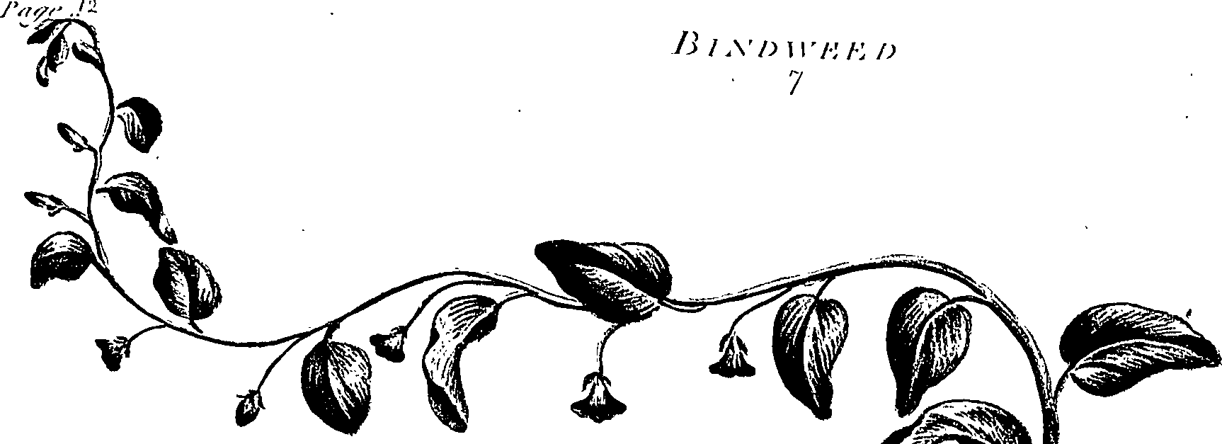 099/099310010700750_3.png