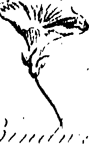 099/099310010700760_0.png