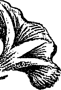 099/099310010700760_1.png