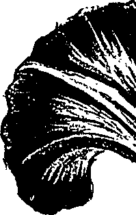 099/099310010700760_2.png