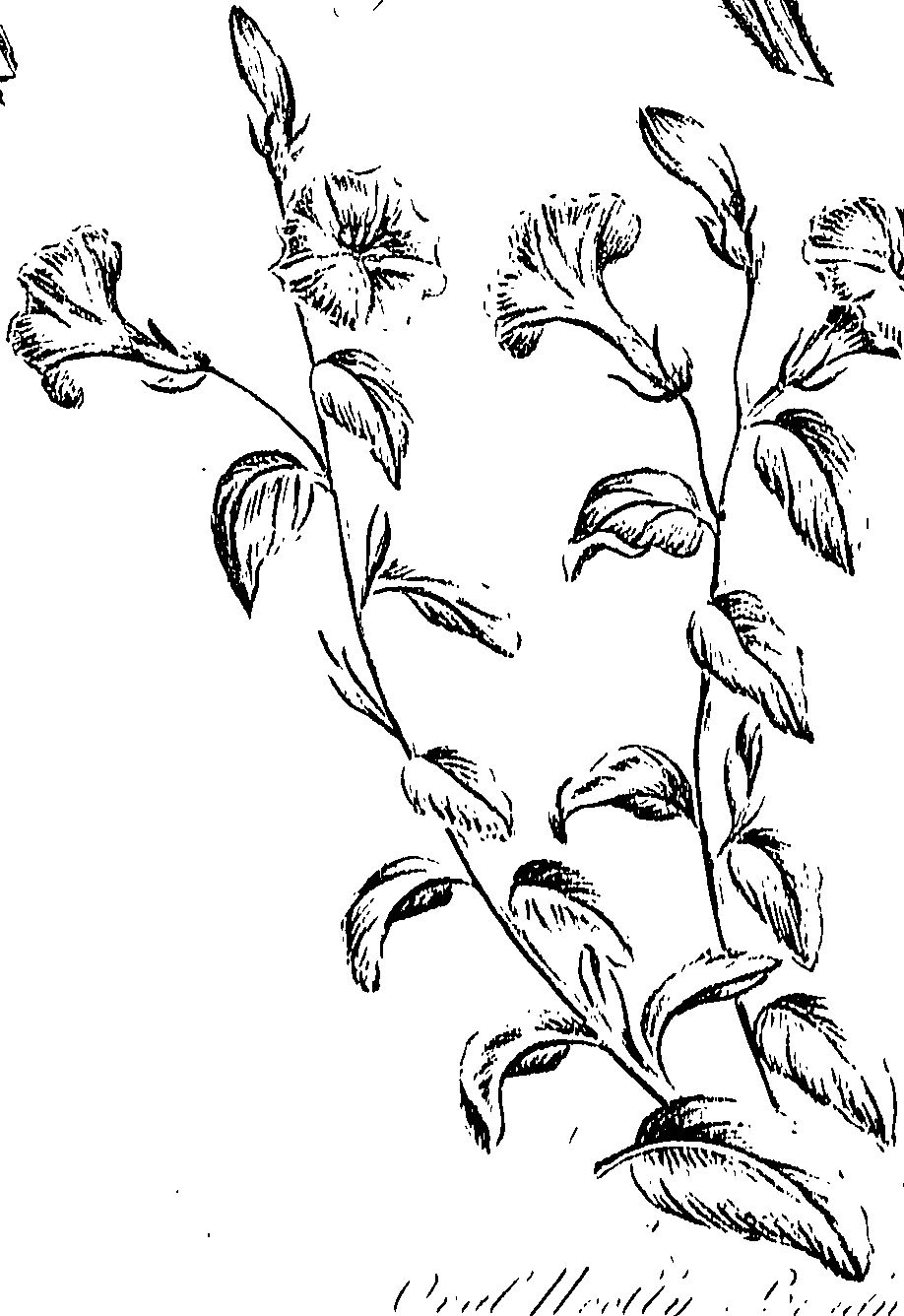 099/099310010700770_0.png